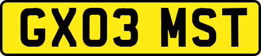 GX03MST