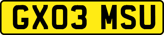 GX03MSU