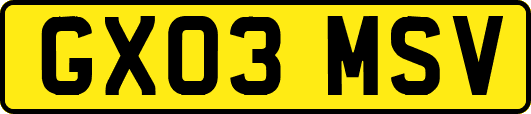 GX03MSV