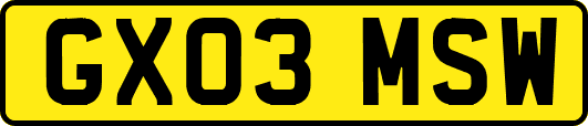 GX03MSW