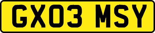 GX03MSY