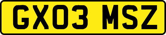 GX03MSZ