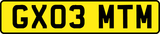 GX03MTM