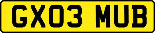GX03MUB