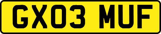 GX03MUF