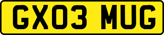 GX03MUG