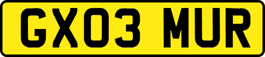 GX03MUR