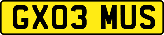 GX03MUS