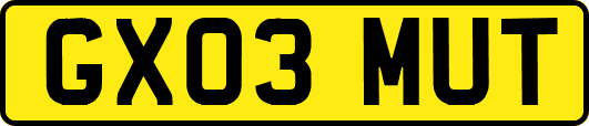 GX03MUT