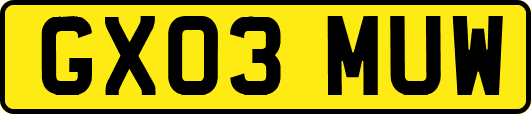 GX03MUW