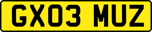 GX03MUZ