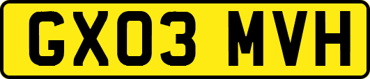 GX03MVH