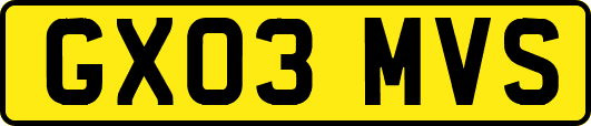 GX03MVS
