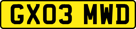 GX03MWD