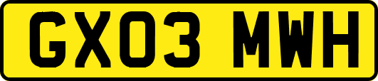 GX03MWH