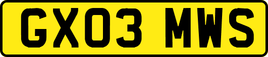 GX03MWS