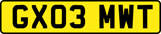 GX03MWT