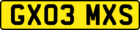 GX03MXS