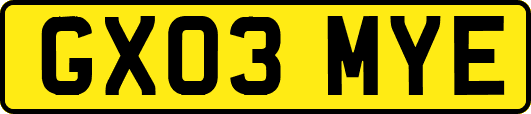 GX03MYE