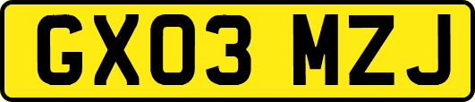 GX03MZJ