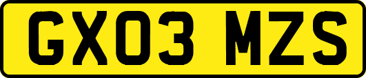 GX03MZS