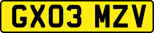 GX03MZV