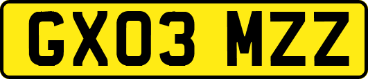 GX03MZZ