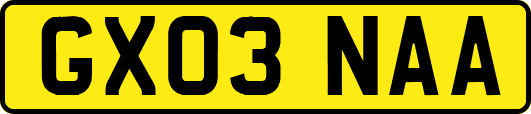 GX03NAA