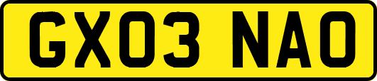 GX03NAO