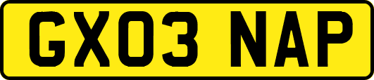 GX03NAP