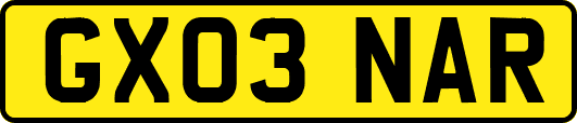 GX03NAR