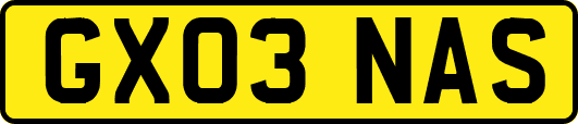 GX03NAS