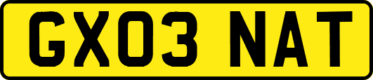 GX03NAT