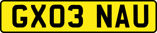 GX03NAU