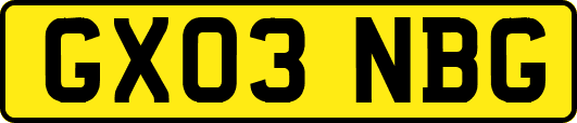 GX03NBG