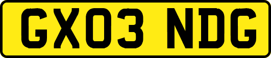 GX03NDG