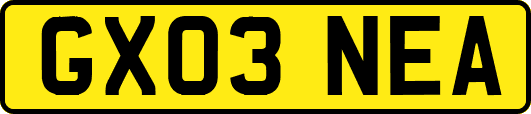 GX03NEA