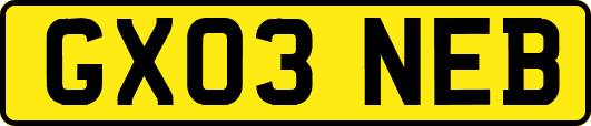 GX03NEB