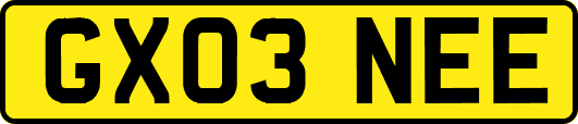 GX03NEE
