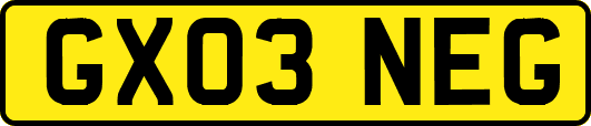 GX03NEG