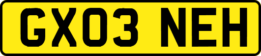 GX03NEH