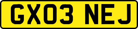 GX03NEJ