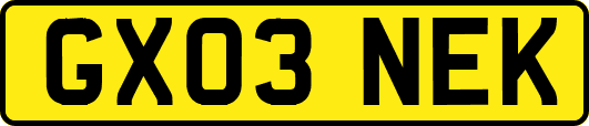 GX03NEK