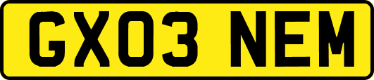 GX03NEM