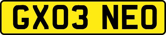 GX03NEO
