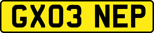 GX03NEP