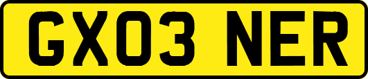 GX03NER