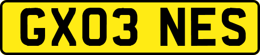 GX03NES