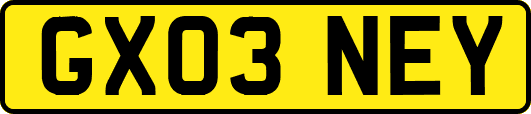 GX03NEY