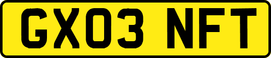 GX03NFT